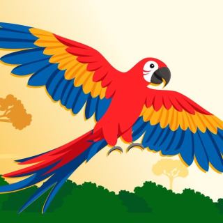 Ambé Floresta Park - Altamira