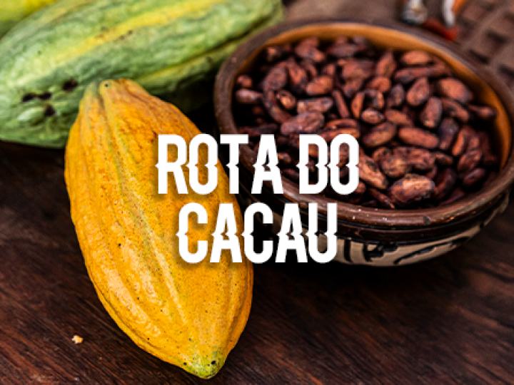Rota do Cacau