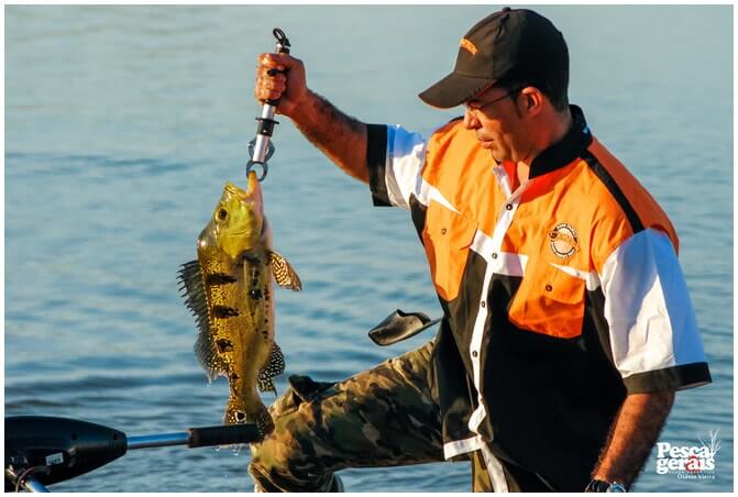 Capa de Torneio de Pacu de Seringa