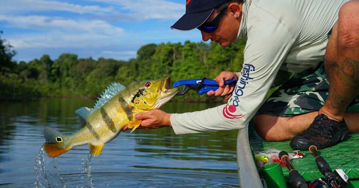 Foto da galeria 3 de Pesca Esportiva