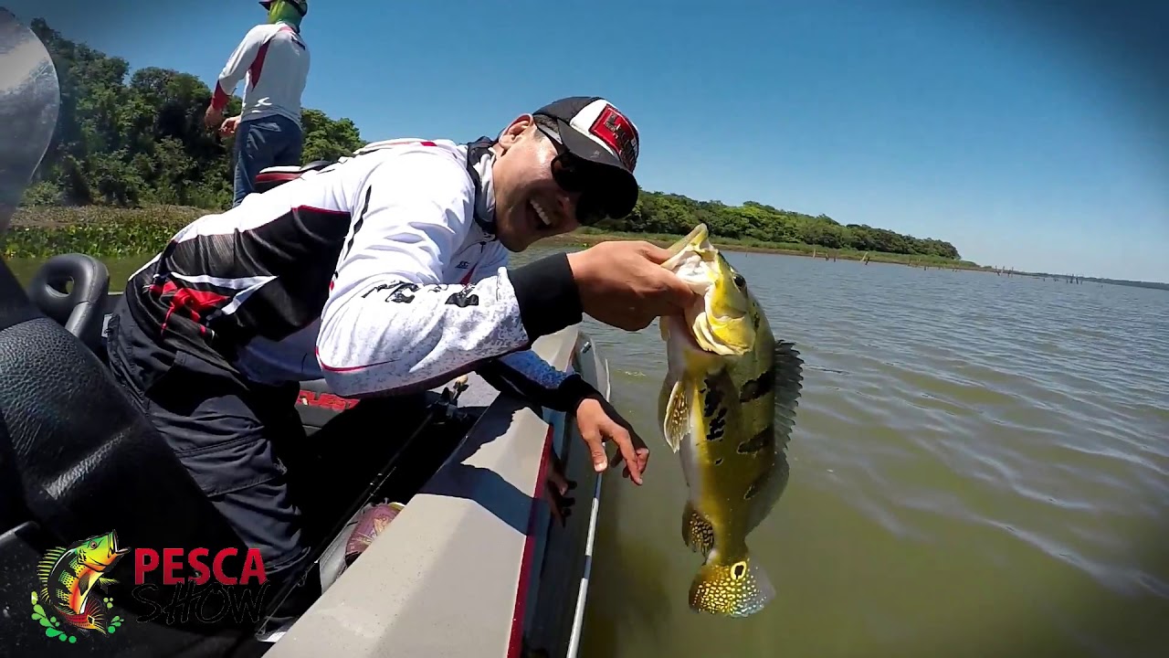 Foto da galeria 2 de Pesca Esportiva