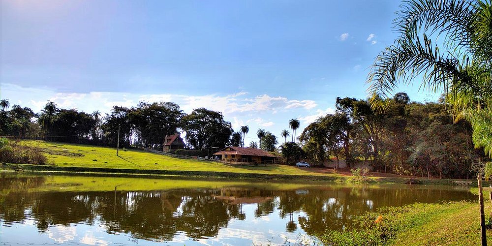 Foto da galeria 1 de Trilha Aquática Igarapé Panelas