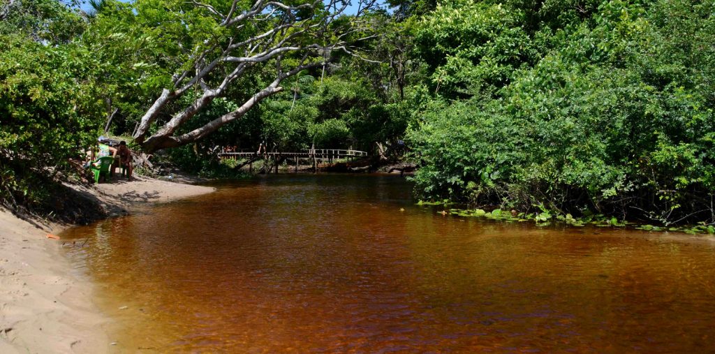 Foto da galeria 2 de Trilha Aquática Igarapé Panelas
