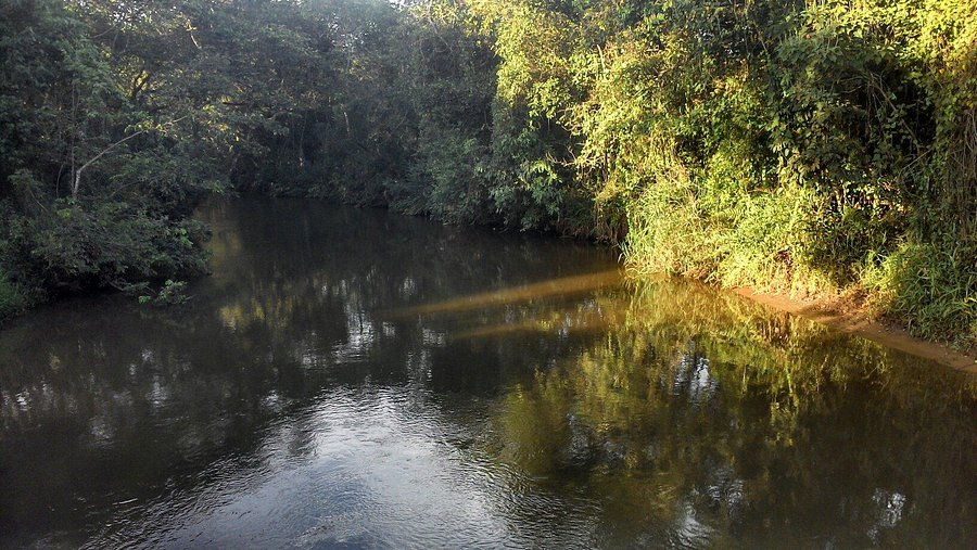 Foto da galeria 3 de Trilha Aquática Igarapé Panelas