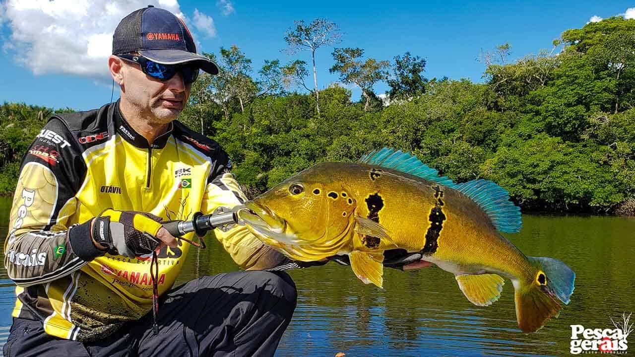 Foto da galeria 1 de Pesca Esportiva